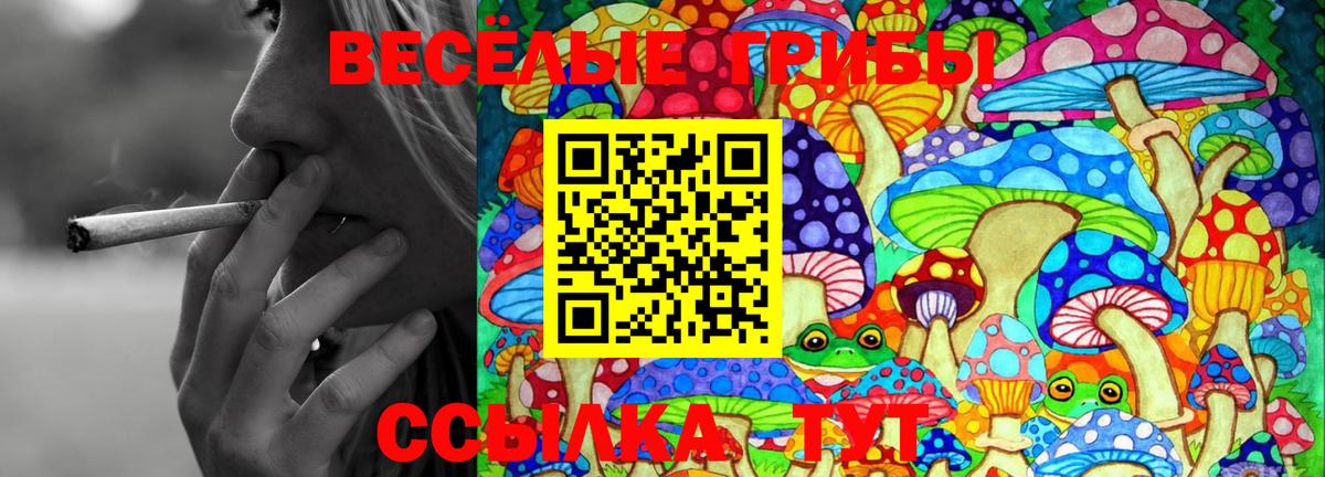 где купить наркоту  Псилоцибиновые грибы Cubensis  Вход с VPN  Усолье-Сибирское  Галлюциногенные грибы прущие грибы 